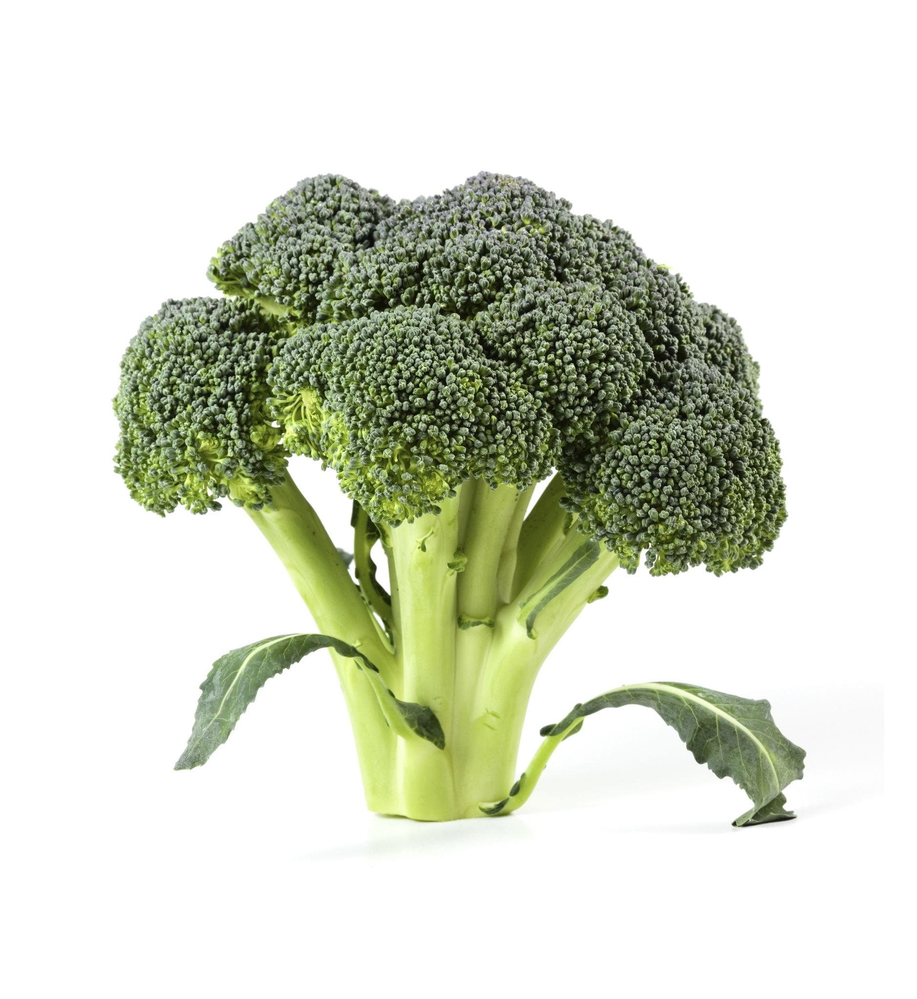 Broccoli – exotic vegetable seeds for home garden in India