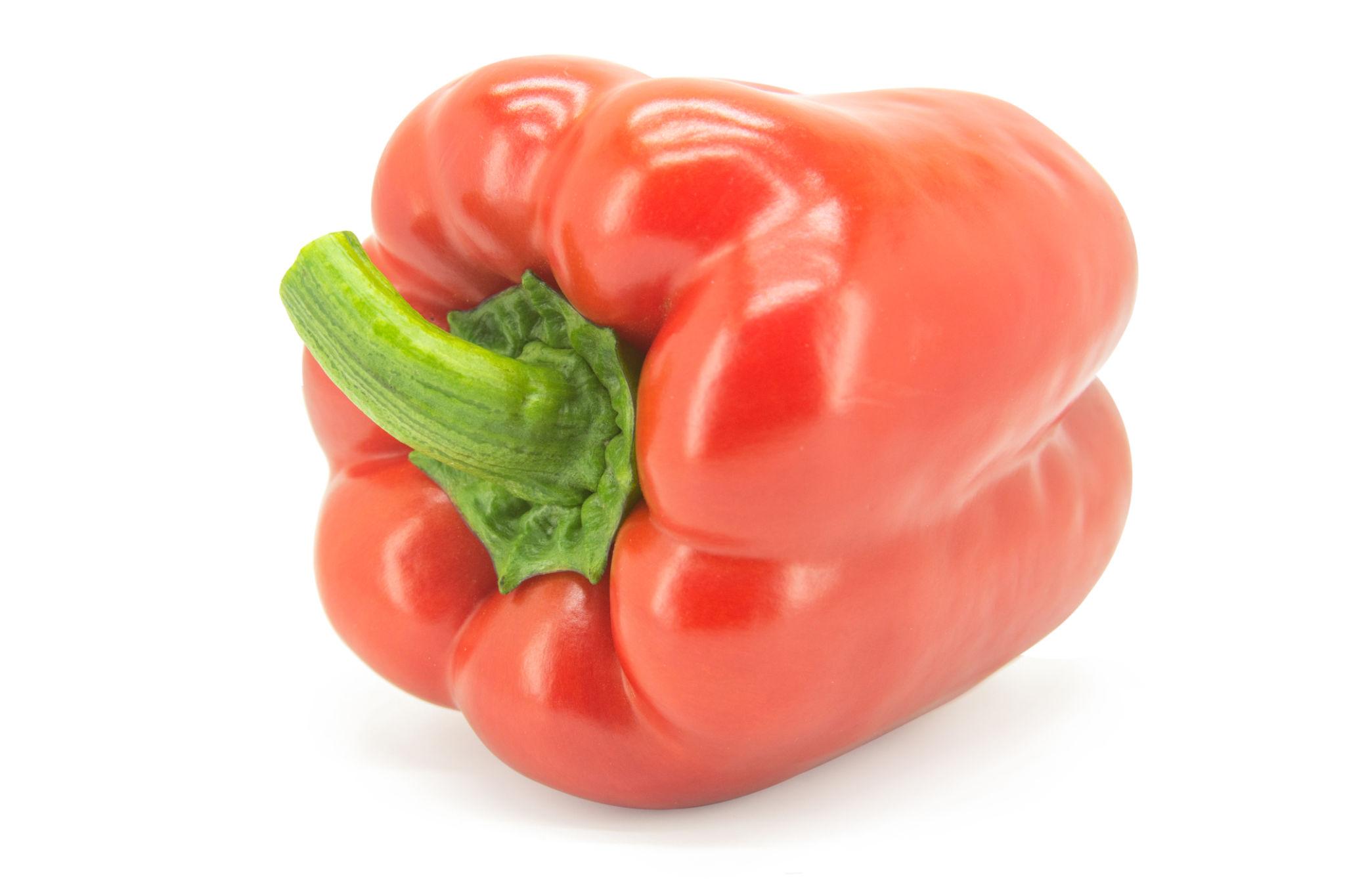 Capsicum Bell Pepper – exotic vegetable seeds for home garden in India