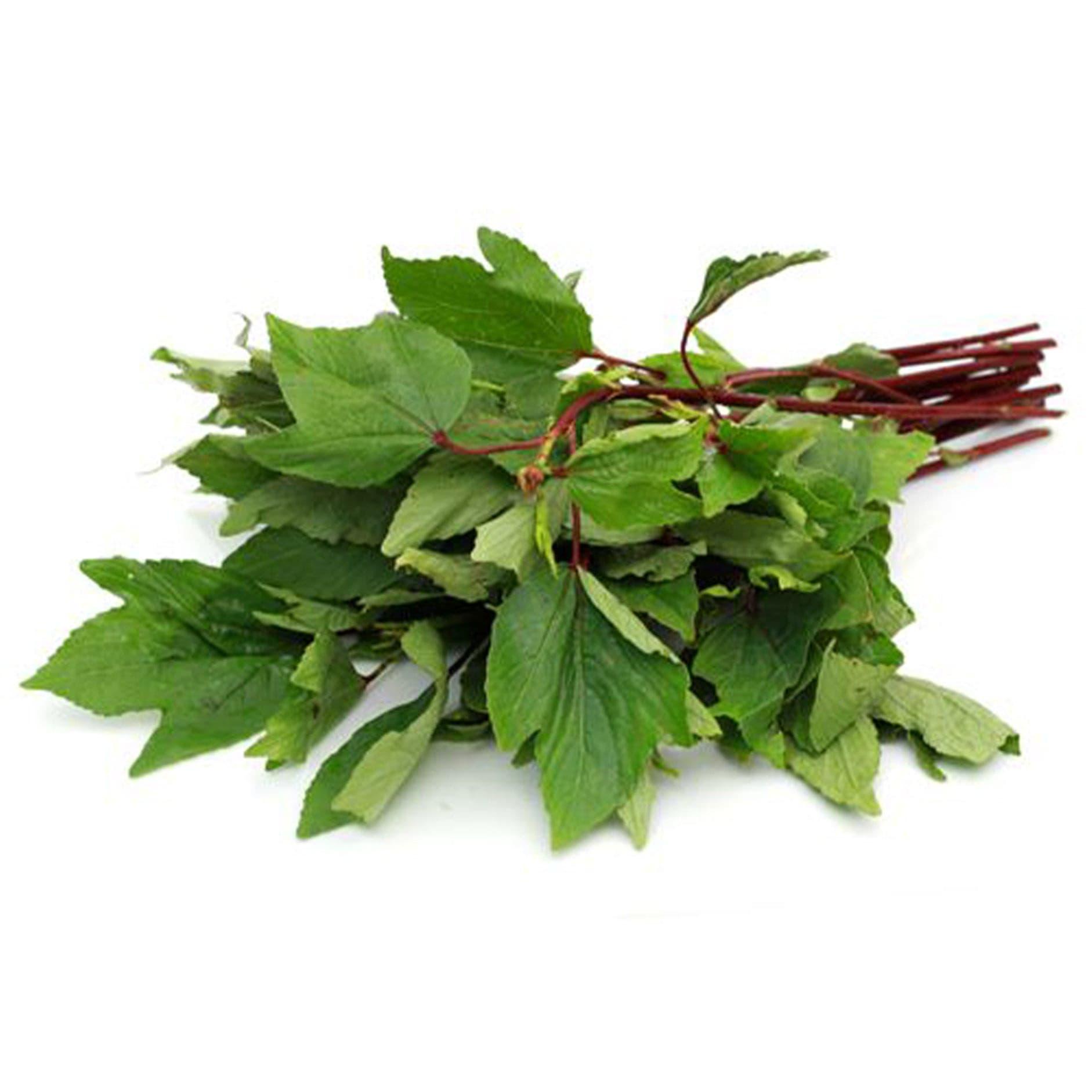 Chukka Kura – leafy vegetable seeds for home garden in India