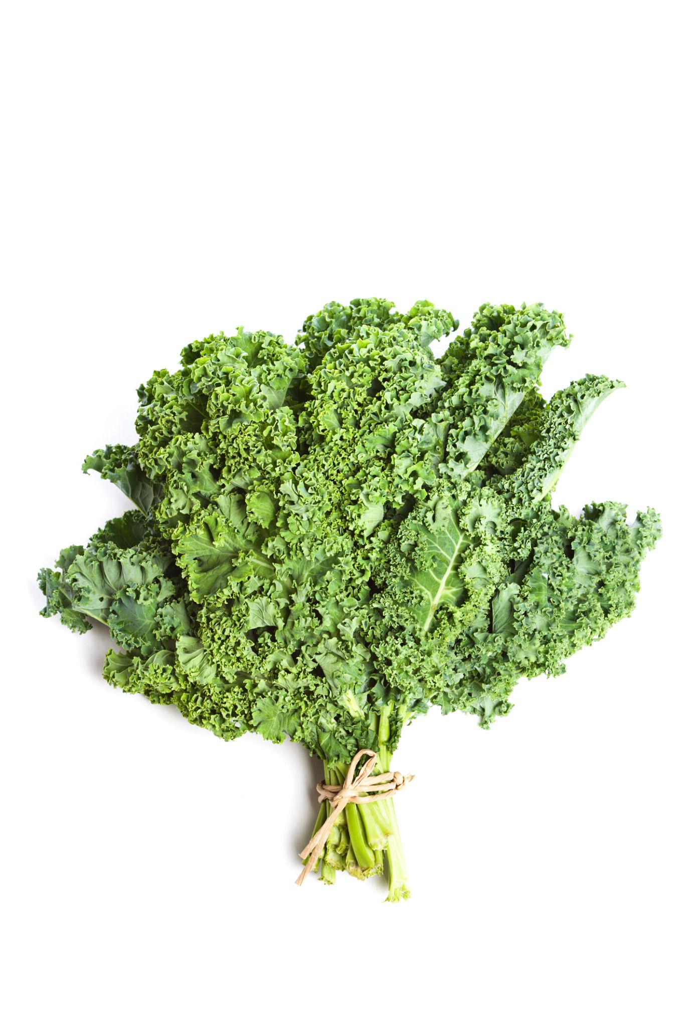 Curly Kale – exotic vegetable seeds for home garden in India