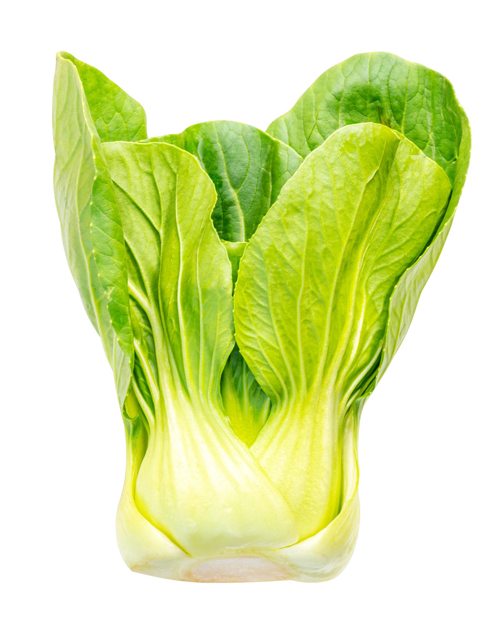 Pak Choi  – exotic vegetable seeds for home garden in India