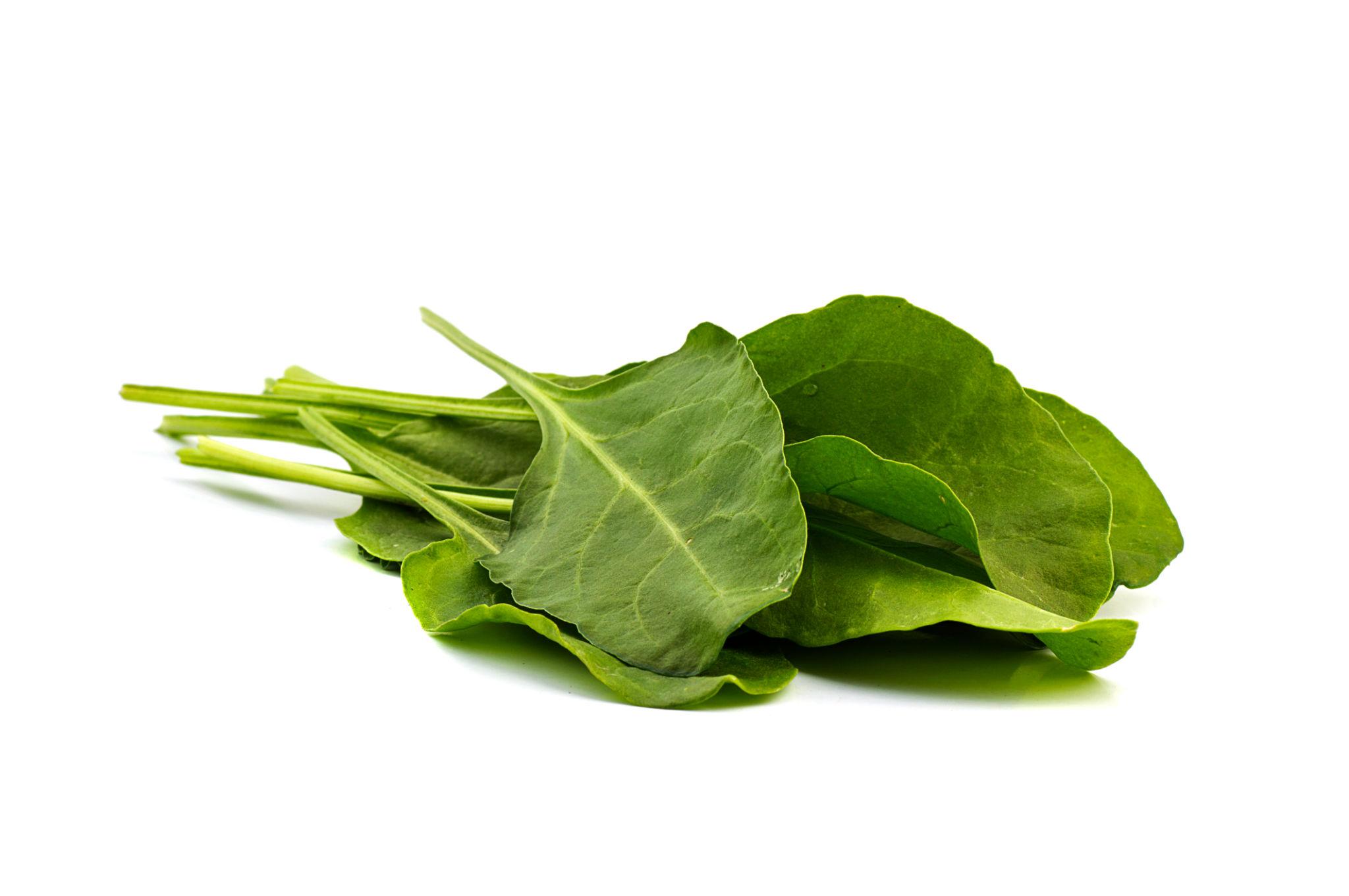 Palak/Spinach – leafy vegetable seeds for home garden in India