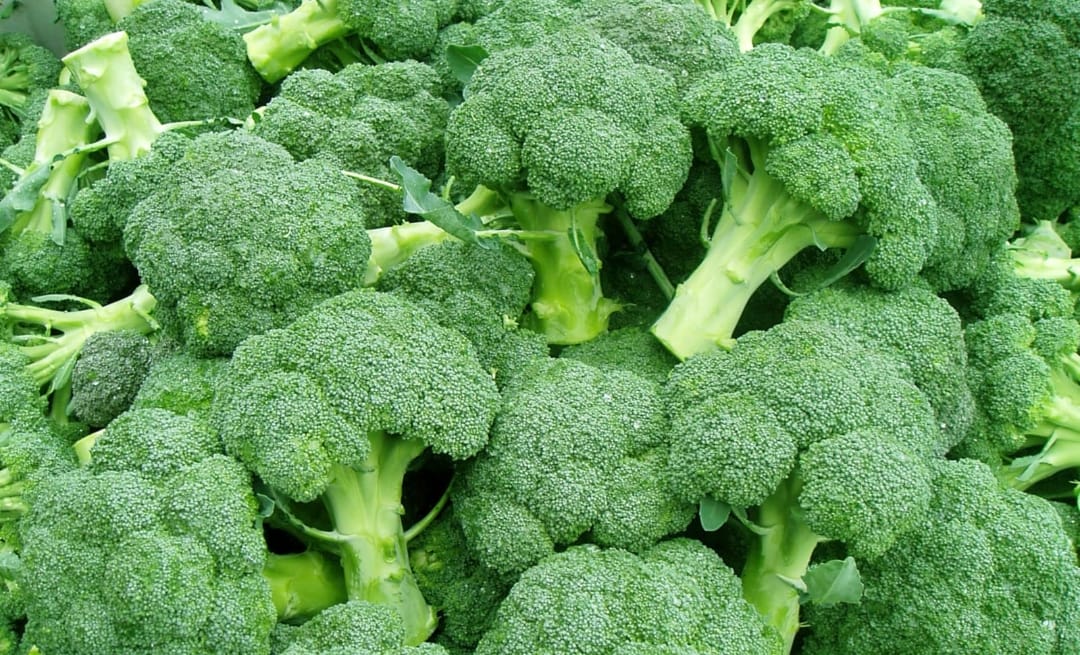 Brocoli – leafy vegetable seeds for home garden in India