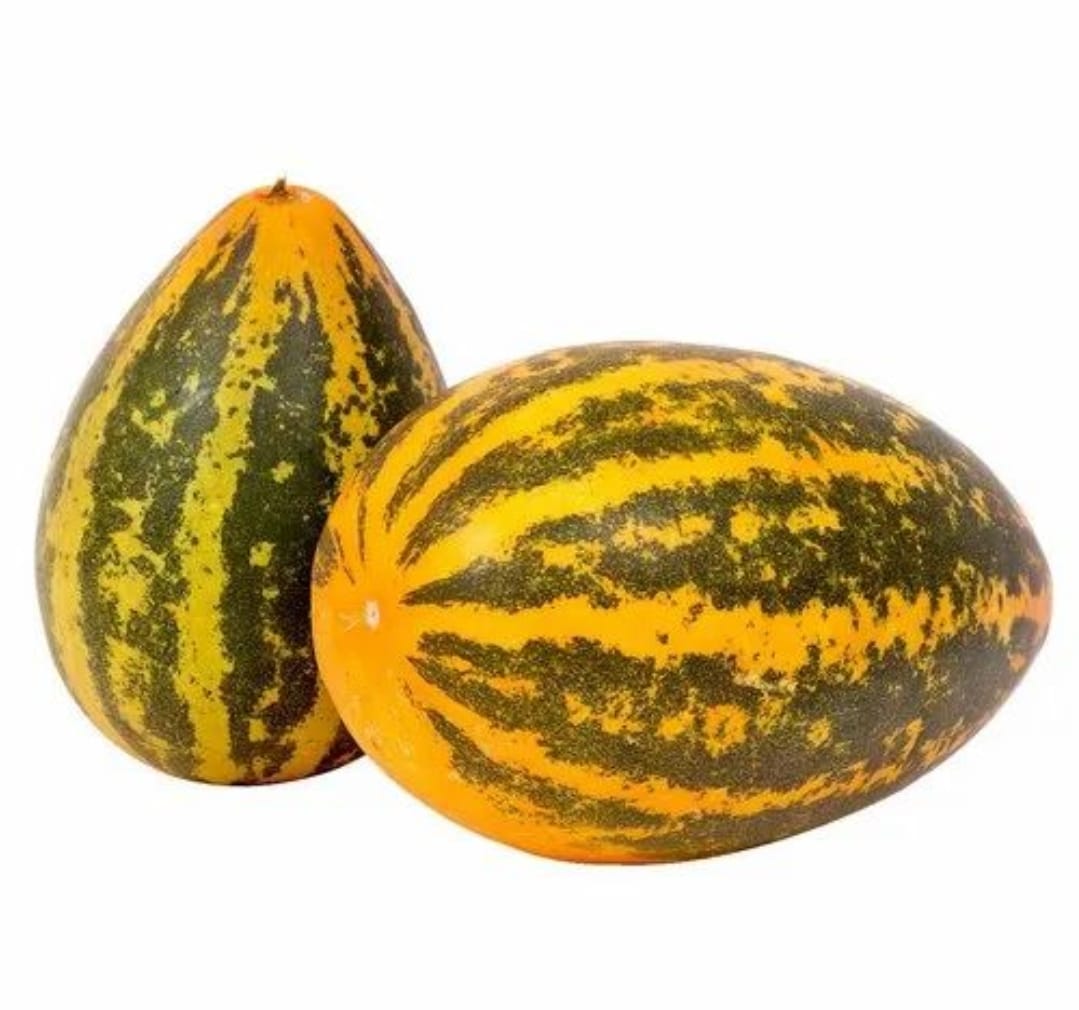 Sambar Cucumber – leafy vegetable seeds for home garden in India