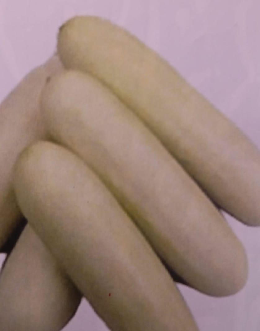 Cucumber White – native vegetable seeds for Indian home garden