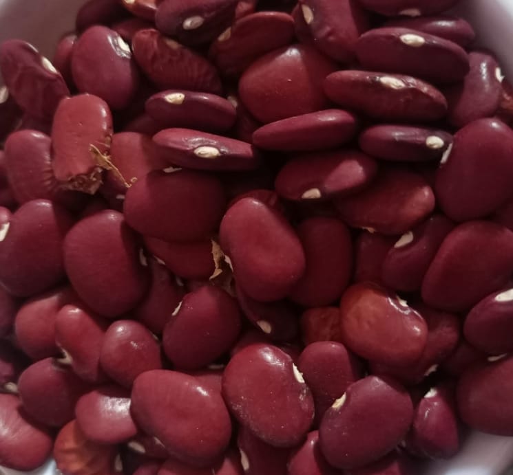 Lima Beans Red – exotic vegetable seeds for home garden in India