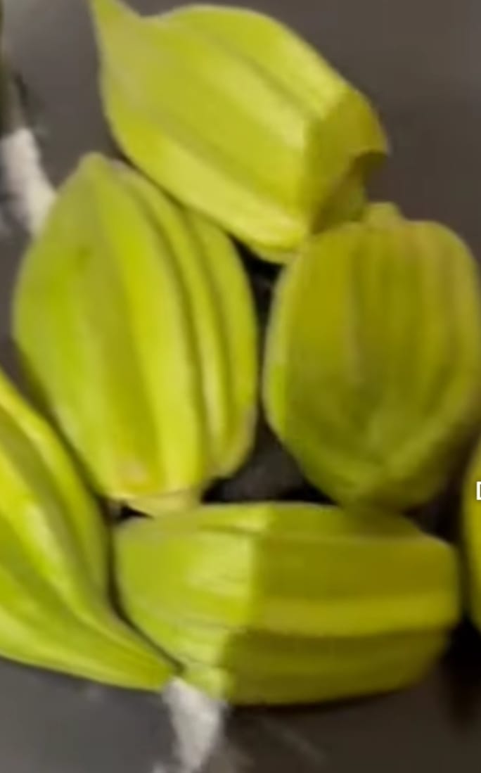 Star Okra – native vegetable seeds for Indian home garden