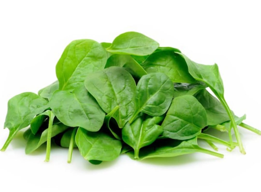 Palak Bhaji – native vegetable seeds for Indian home garden