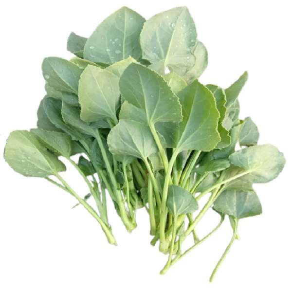 Chukka Kura – leafy vegetable seeds for home garden in India