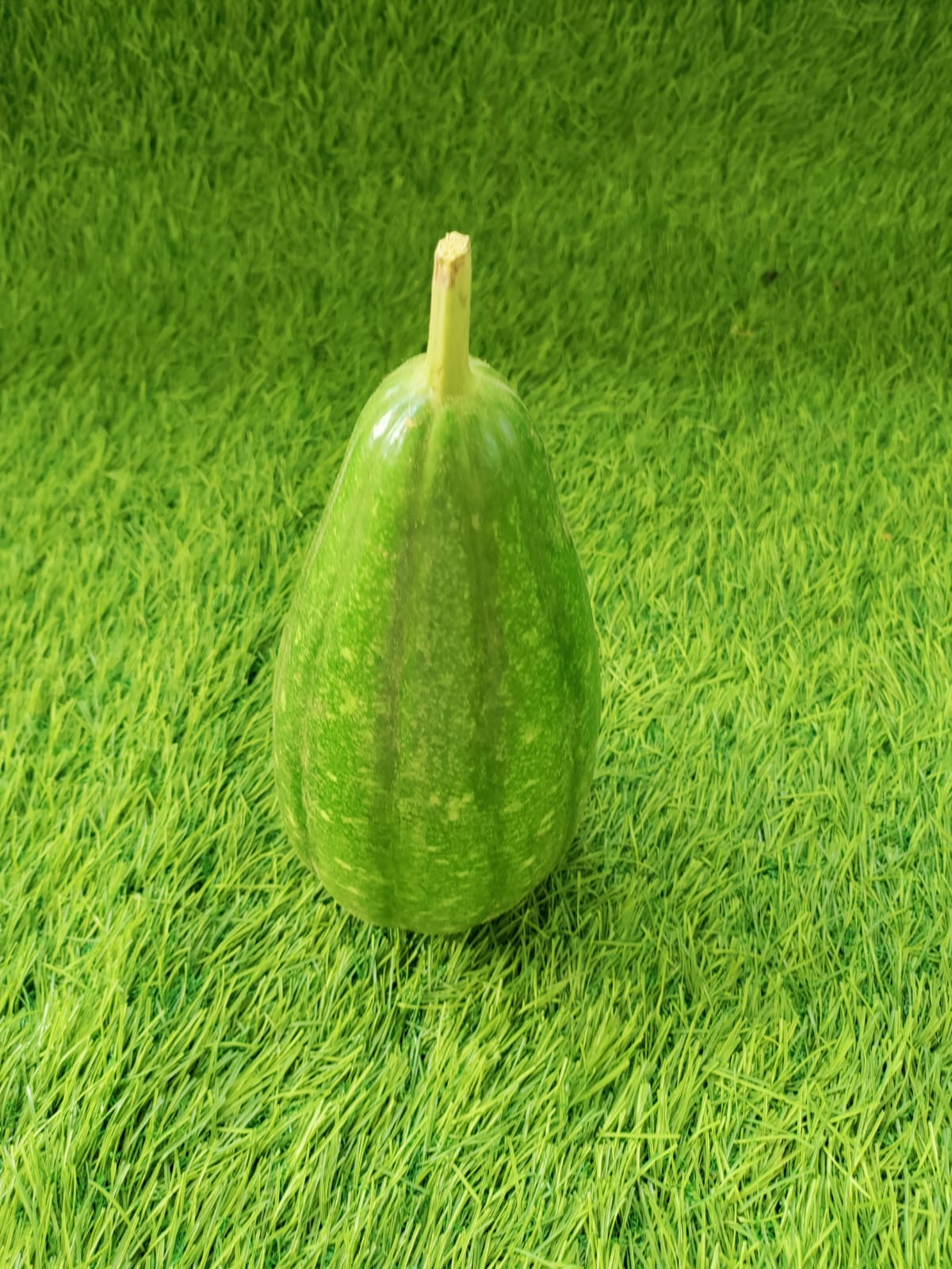 Delhi Sora Dark Green – native vegetable seeds for Indian home garden