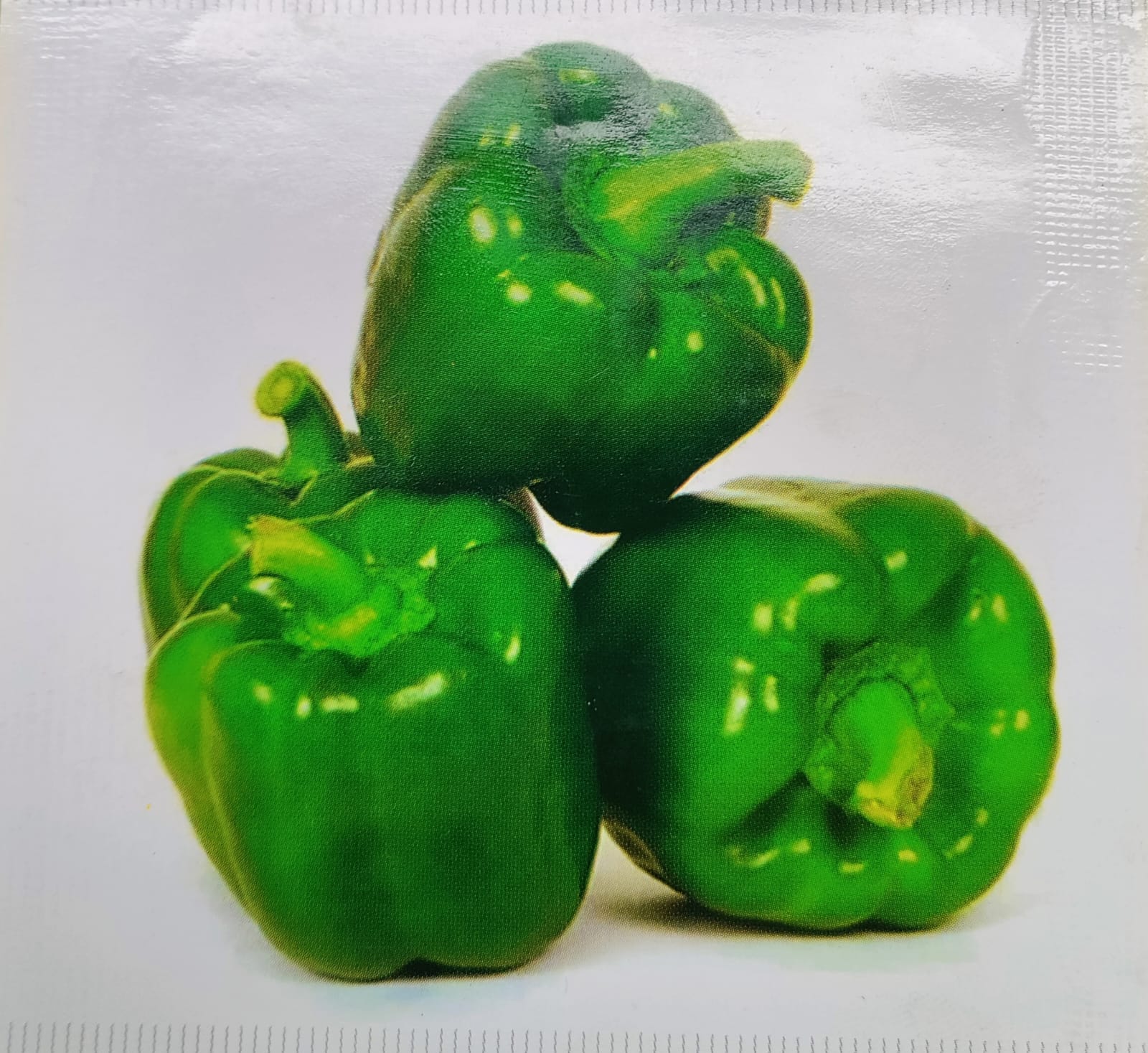 Capsicum Green – exotic vegetable seeds for home garden in India