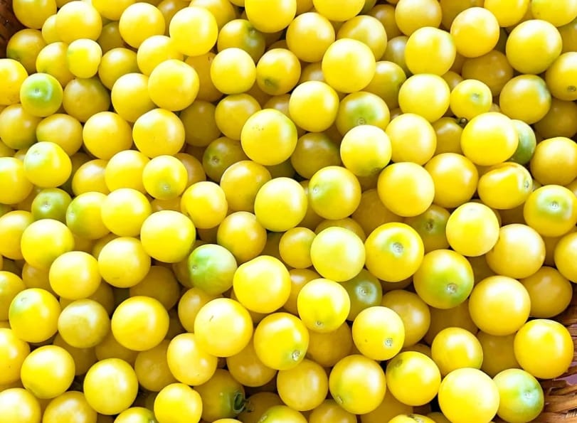 Snow White Cherry Tomato – native vegetable seeds for Indian home garden