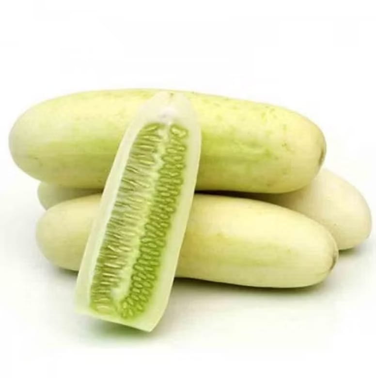 White Cucumber – native vegetable seeds for Indian home garden