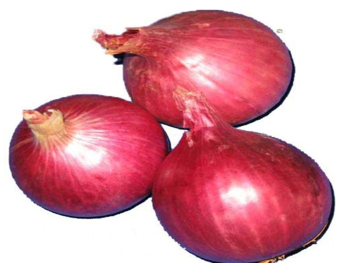 Onion Red – native vegetable seeds for Indian home garden