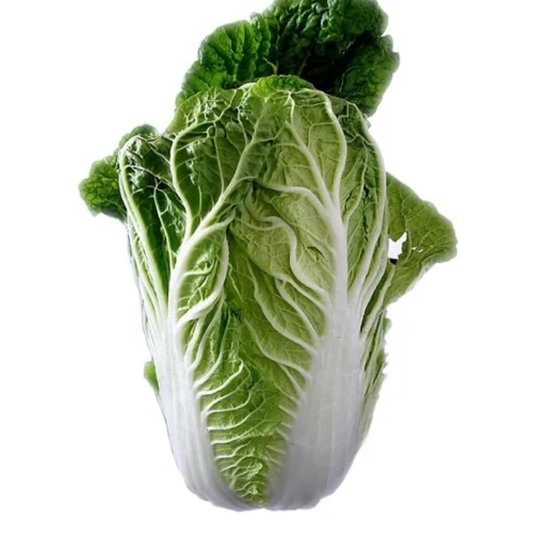 Chinese Cabbage – exotic vegetable seeds for home garden in India