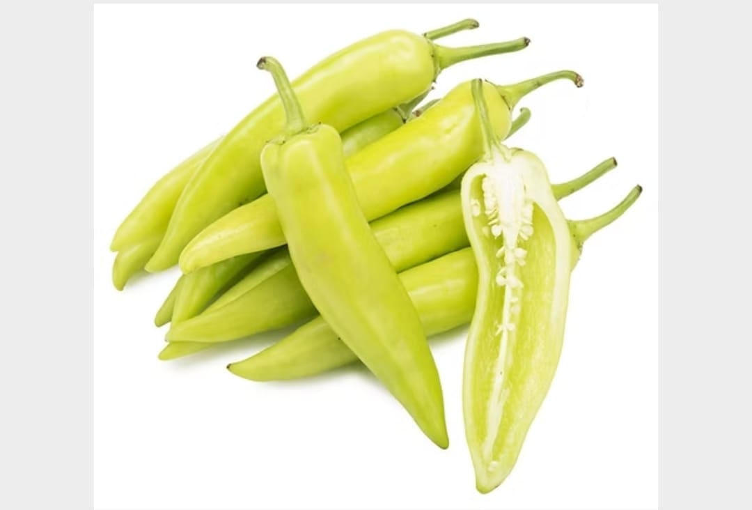 Bajji Mirchi – native vegetable seeds for Indian home garden