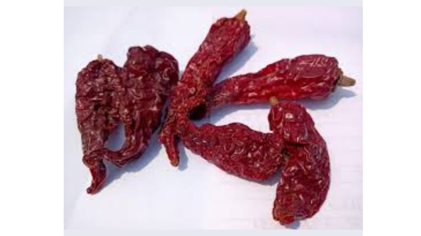 Ghost Red Chilli – native vegetable seeds for Indian home garden