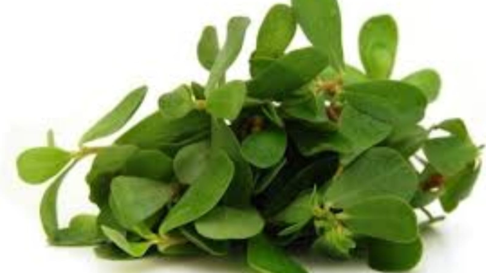 Ganga Valli – native vegetable seeds for Indian home garden