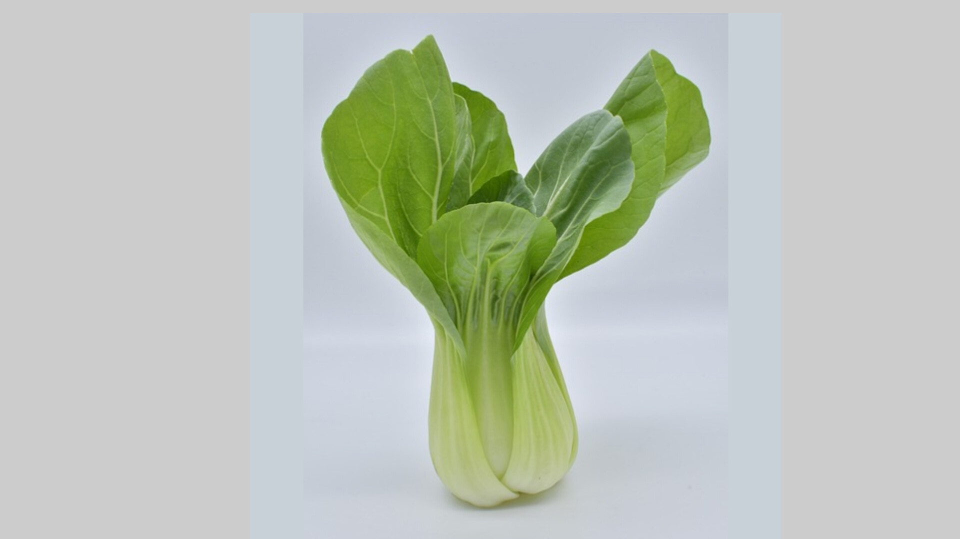 Pak Choi