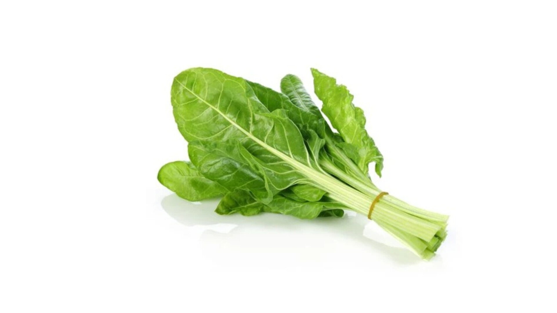Swiss Chard Green