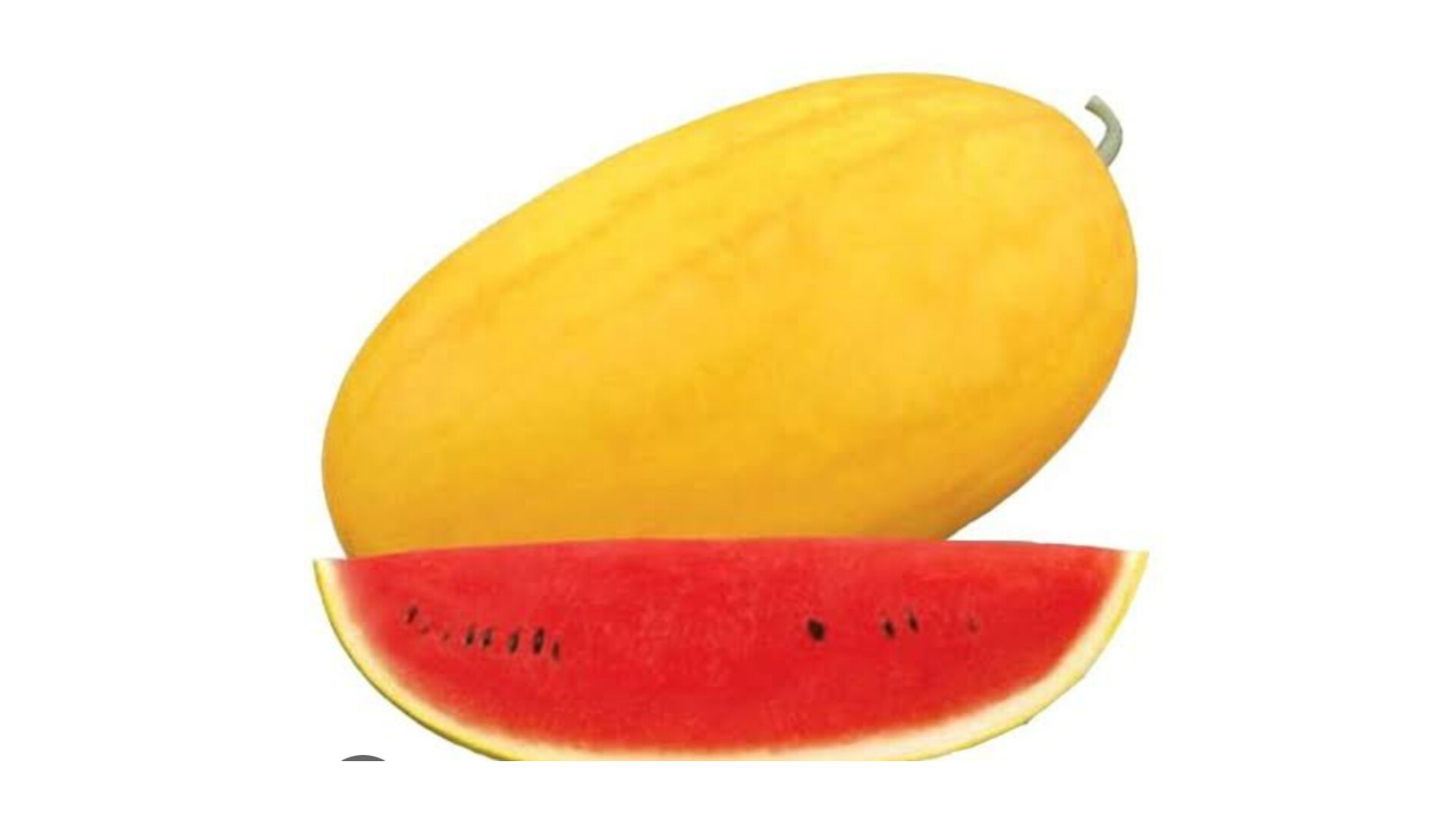 Yellow Red Sweet Water Melon seeds – buy online India