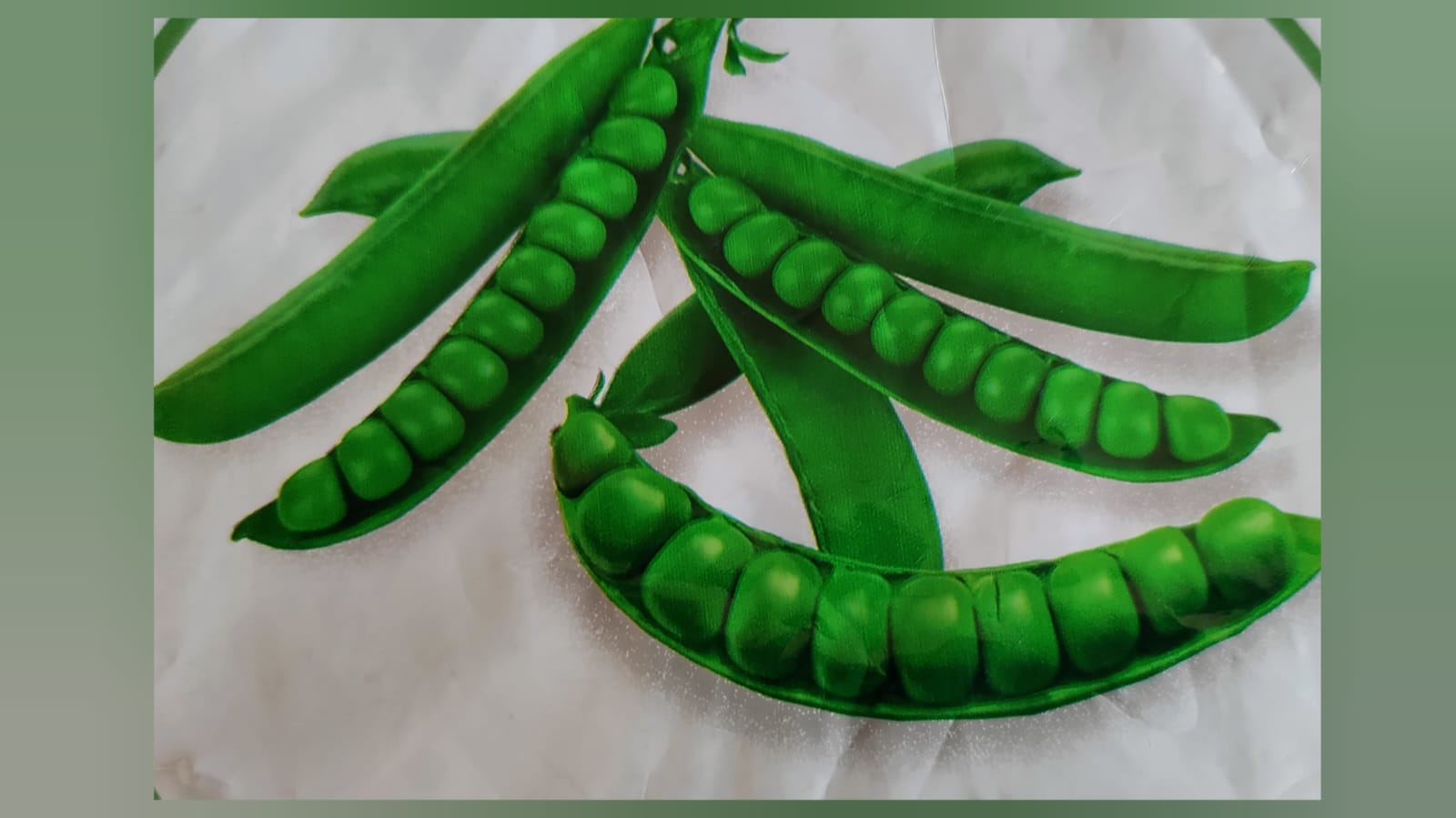 Extra long 10 seed green peas – native vegetable seeds for Indian home garden