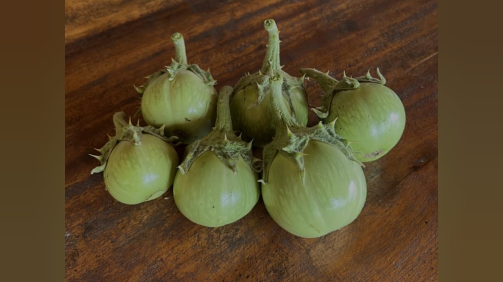 Desi mullu vankaya (brinjal) delicious – native vegetable seeds for Indian home garden