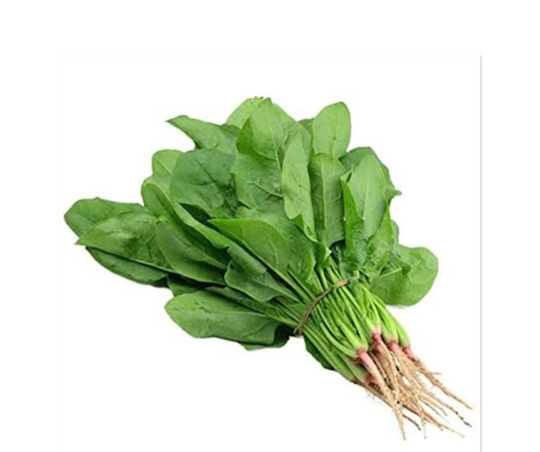 Chettu bachali seeds – buy online India