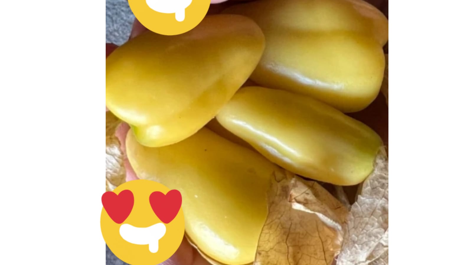 Tamatillo long seeds – buy online India
