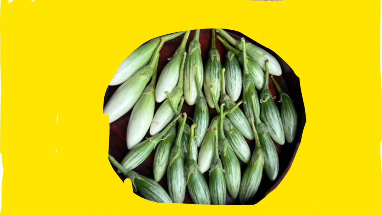 Thai green finger brinjal seeds – buy online India