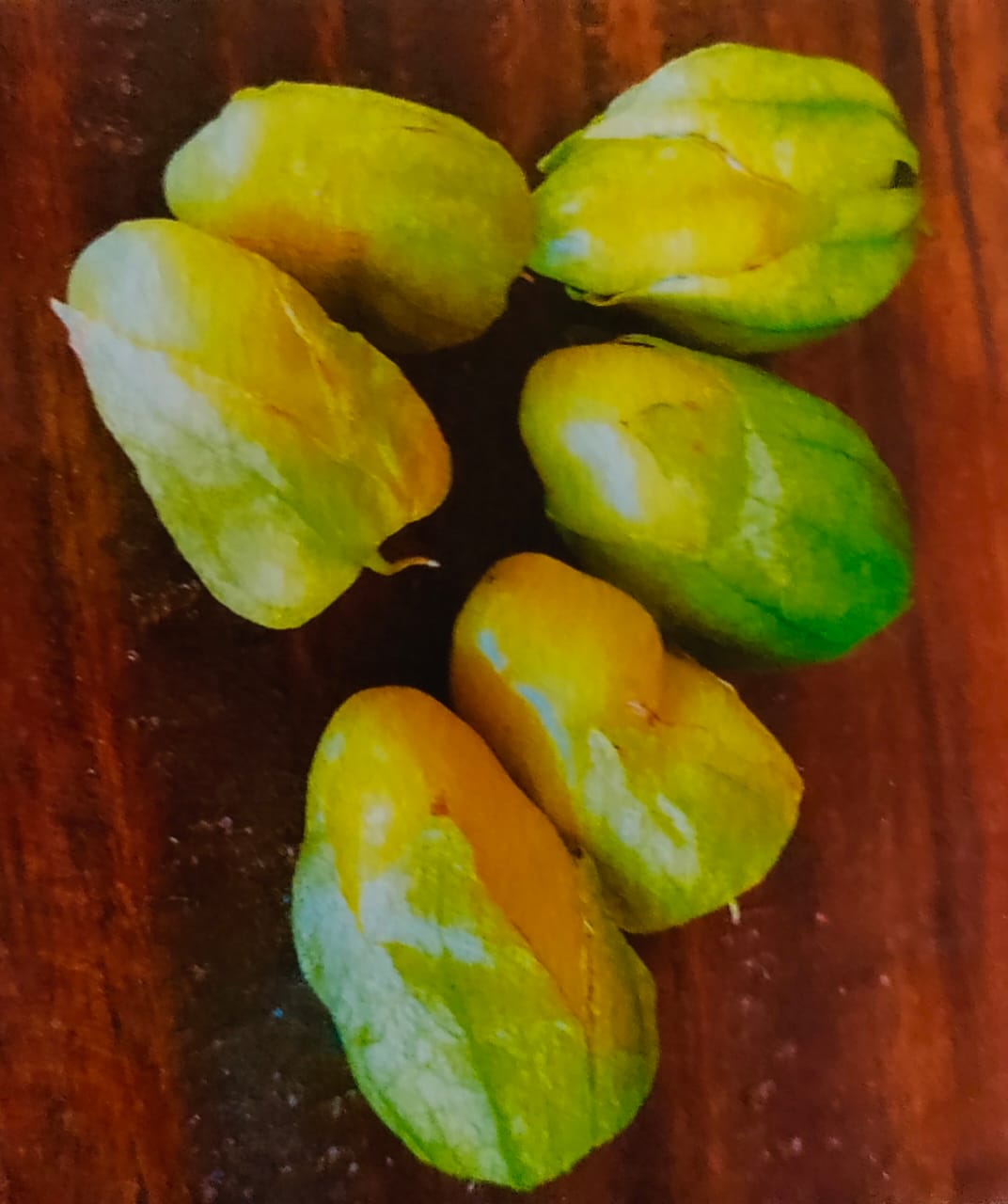 Long Tomatillo seeds – buy online India